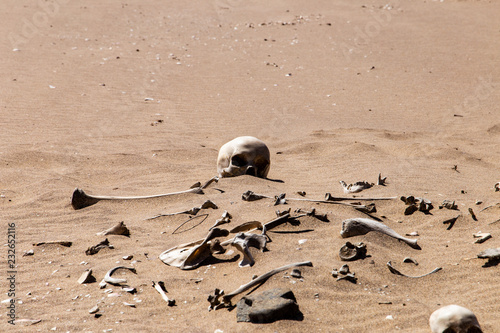 Skelett in der Namib