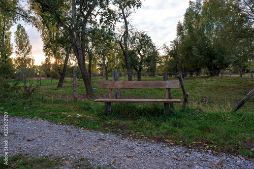 bench in the park