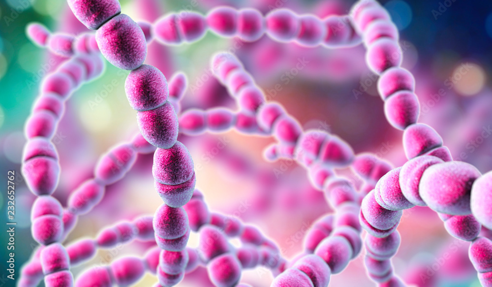 Как выглядят стрептококки под микроскопом Bacteria Streptococcus thermophilus Ілюстрація Stock Adobe Stock