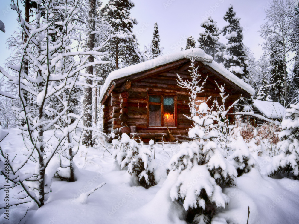 Winter fairy tale Winter fairy tale