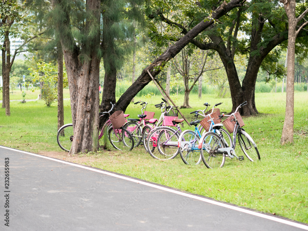 Fototapeta premium bicycle in the park