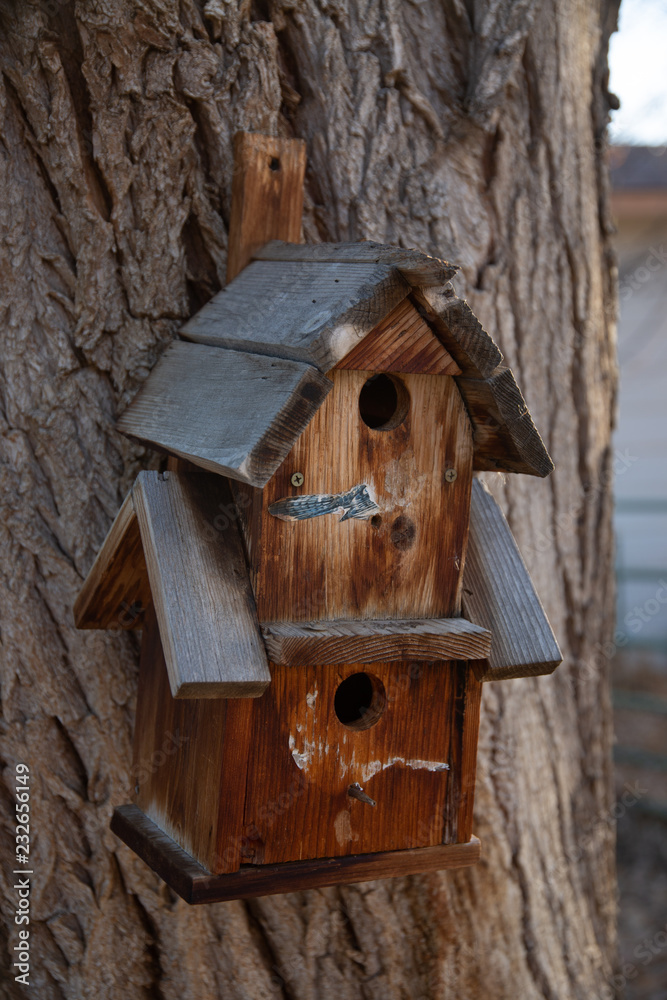 wooden birdhouse on tree