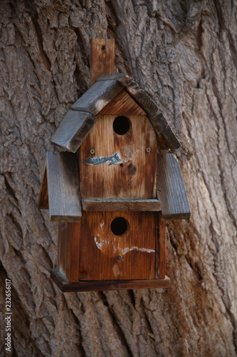 wooden birdhouse on tree © Ryan McGehee