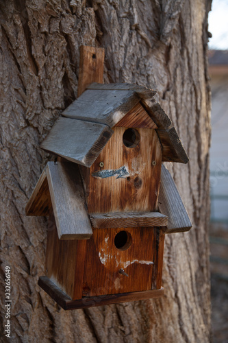 wooden birdhouse on tree © Ryan McGehee