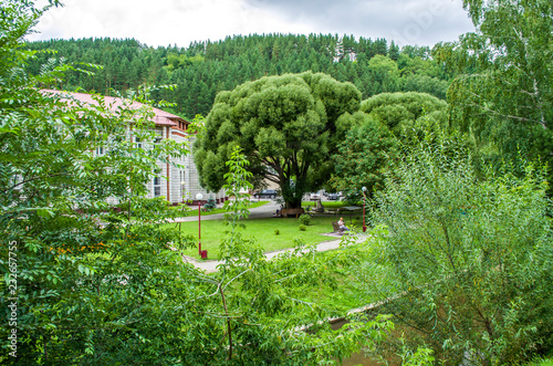 On the banks of the Belokurikha river. Altai Krai, Altai mountains.