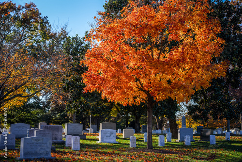 Arlington National Cemetery in late autumn 