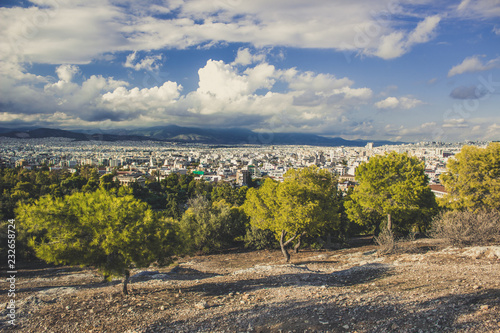 tropic garden green trees place on top of rock with view on big south capital city in summer weather time and cloudy sky before storm 