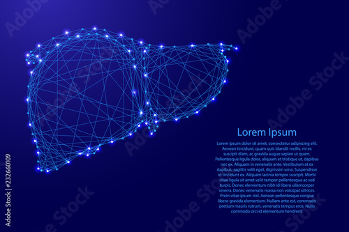 Human liver organ gland of external secretion body from futuristic polygonal blue lines and glowing stars for banner, poster, greeting card. Vector illustration.
