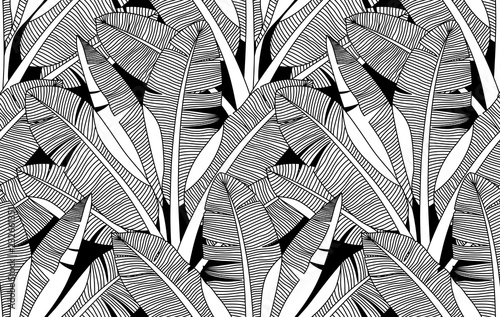 Jungle exotic palm leaves foliage vector seamless pattern. Banana leaf garden background. Tropical bananas wallpaper.