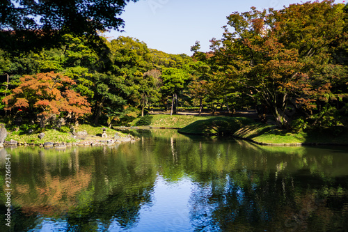 Beautiful pond in japanese garden with reflection of maple trees in autumn (Koishikawa Korakuen, Tokyo, Japan)