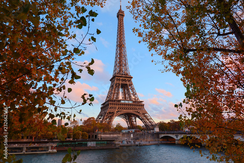 The Eiffel tower and autumnal trees in the foreground.