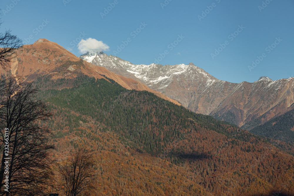 Landscape in the mountains. Rosa Khutor.