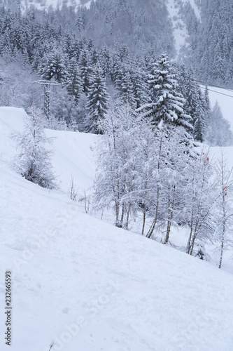 Alps in winter