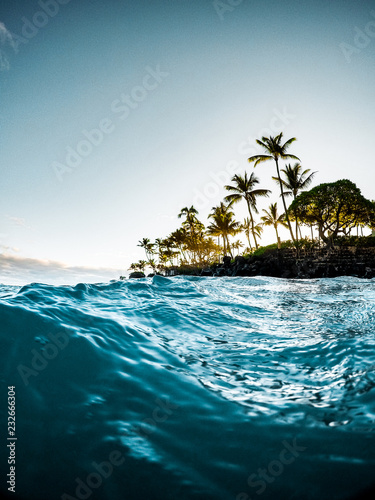 Fotografia Beautiful Tropical Island Paradise Photo from Swimming In Clear Aqua Blue Ocean