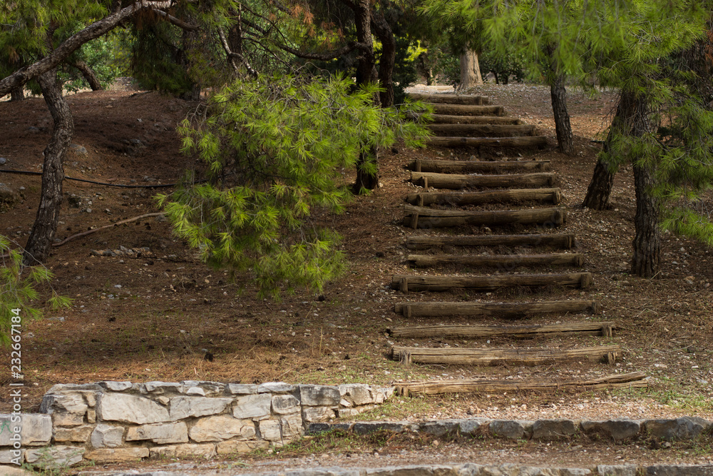 exterior landscape design of poor wooden stairs empty path for walking in dry park outdoor autumn nature environment exterior landscape design of poor wooden stairs empty path for walking in dry park outdoor autumn nature environment