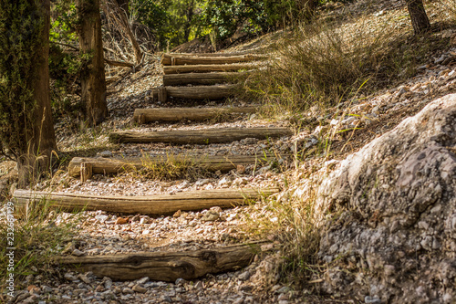 exterior landscape design of poor wooden stairs empty path for walking in dry park outdoor autumn nature environment 