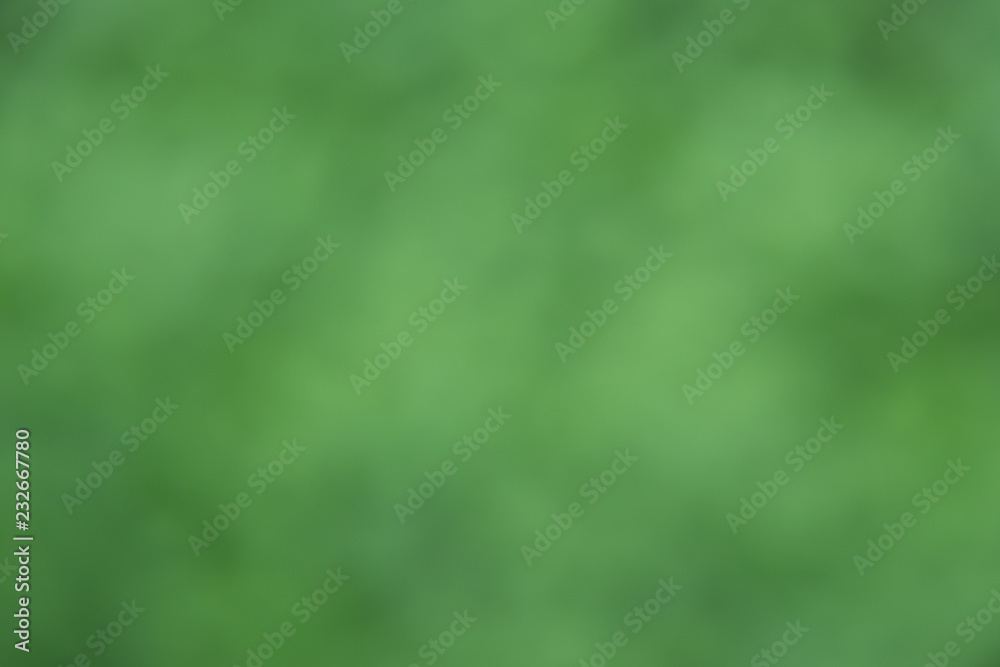 Abstract green color and bokeh of nature background. Blurred, clean and copy space. Abstract green color and bokeh of nature background. Blurred, clean and copy space.