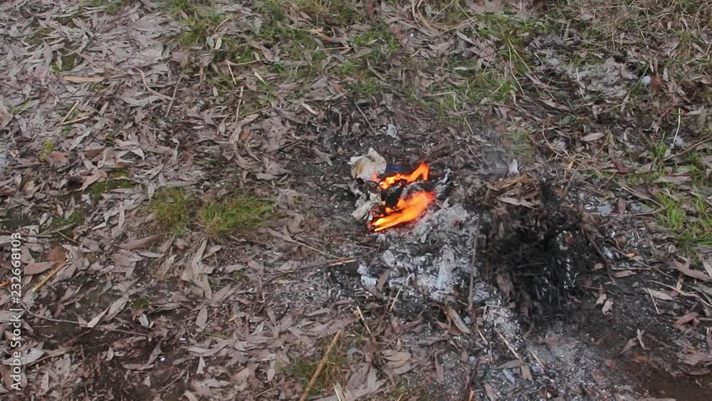 Arranging small bonfire in cold winter wood on frosty ground. Real time full hd video footage. Arranging small bonfire in cold winter wood on frosty ground. Real time full hd video footage.