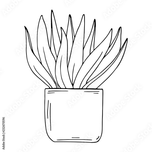 Silhouette houseplant isolated on white background. Cartoon ink sketch. Hand drawn vector illustration.