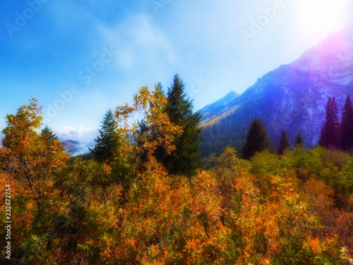 Fall Foilage and Mountains
