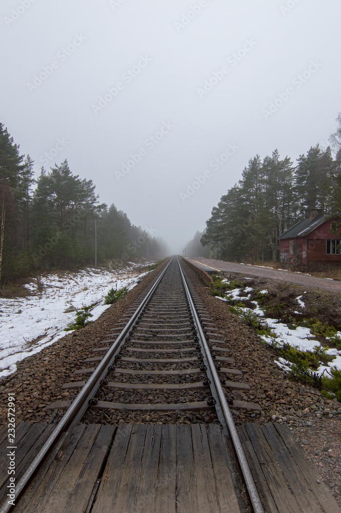Fototapeta premium railway in the forest