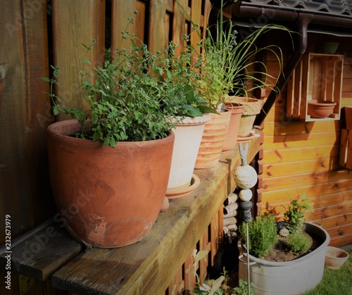 Wallpaper Mural Kräutertöpfe Torontodigital.ca