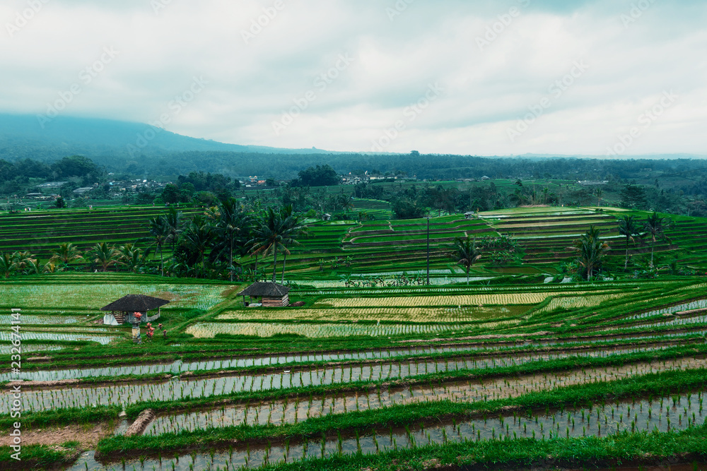 Bali landscape