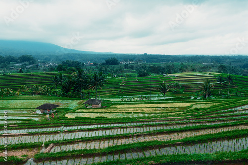 Bali landscape