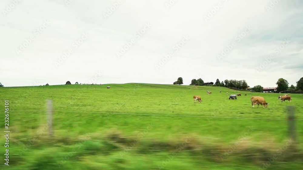 window view from a train while passing meadows in Europe