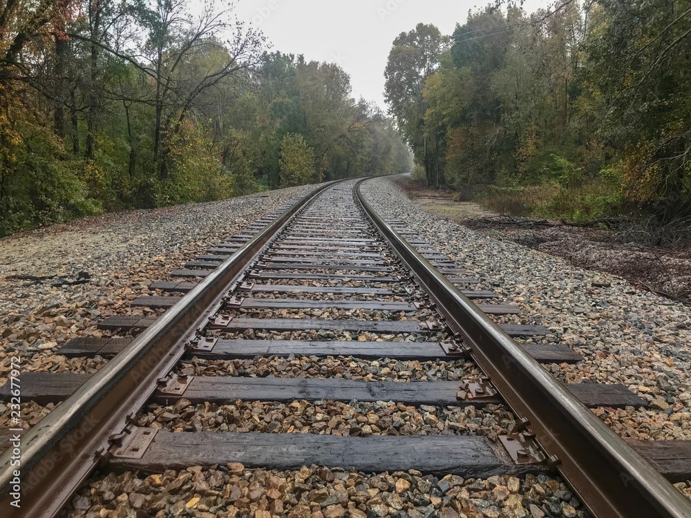 Train tracks in autumn forest on rainy day  1