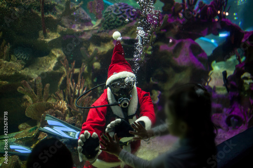Slika na platnu Santa Claus with aqualung under water in aquarium