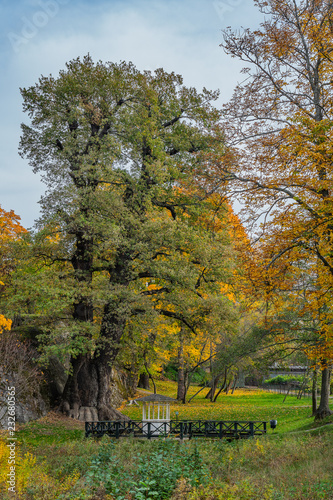 Sweden, Stockholm, city beautiful view