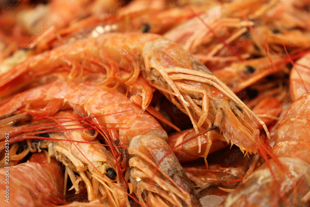 Fresh shrimp close-up. Seafood on fish market Fresh shrimp close-up. Seafood on fish market