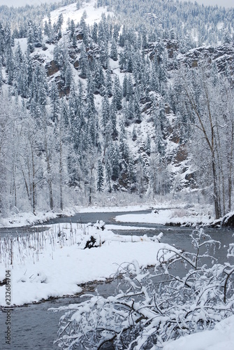 winter landscape with river and trees