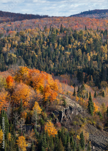 Fall foliage vista of the Superior National Forest. North Shore of Lake Superior, Minnesota.