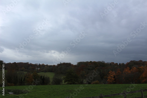 autumn trees and rain clouds landscape