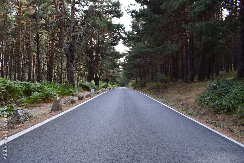 Obraz premium Mountain Road