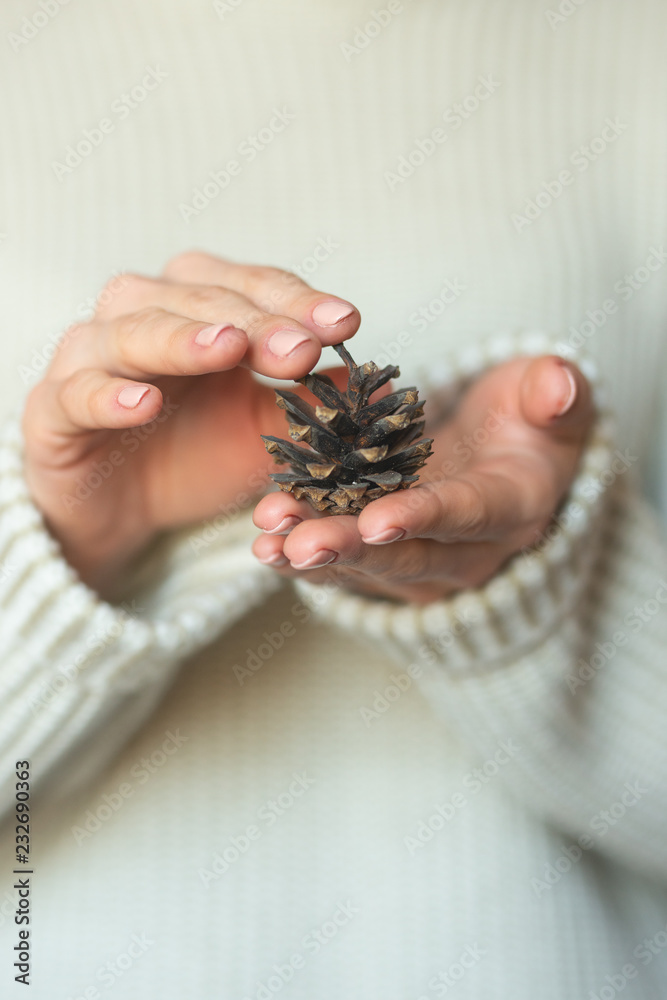 A woman in bright warm wool holds cones in her hands, copies space, selects focus. The concept of Christmas, New Year