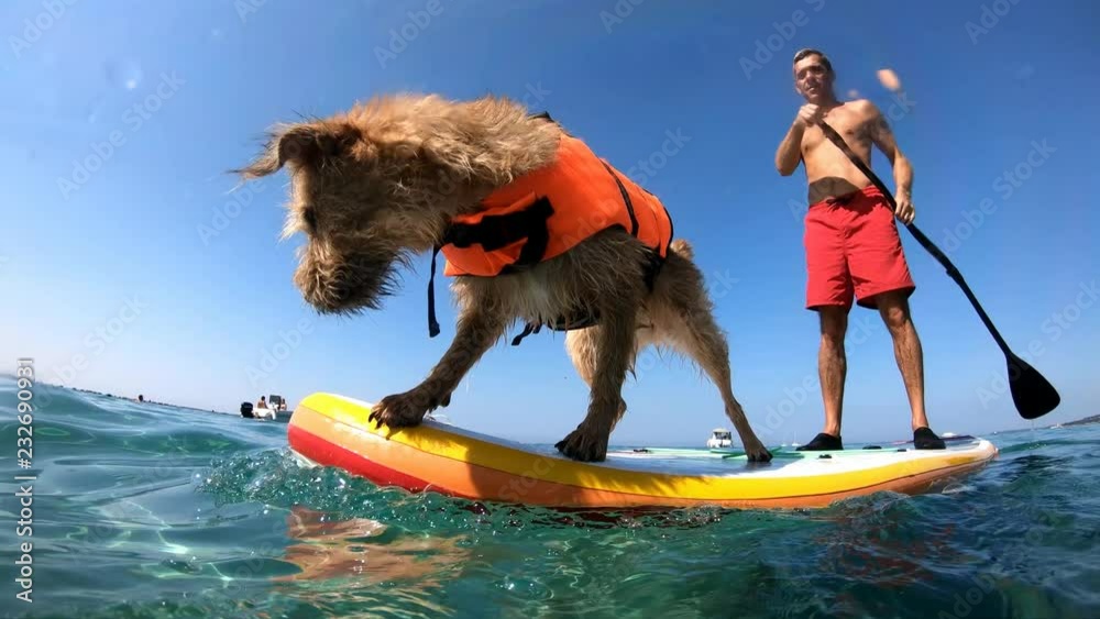 A man supping with his dog in slow motion