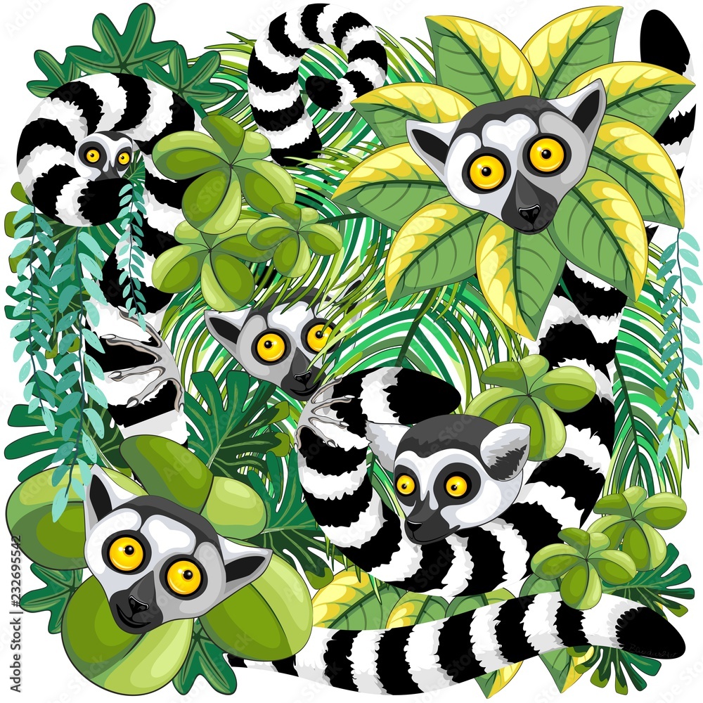 Lemurs on Madagascar Rainforest
Lemurs on Madagascar Rainforest