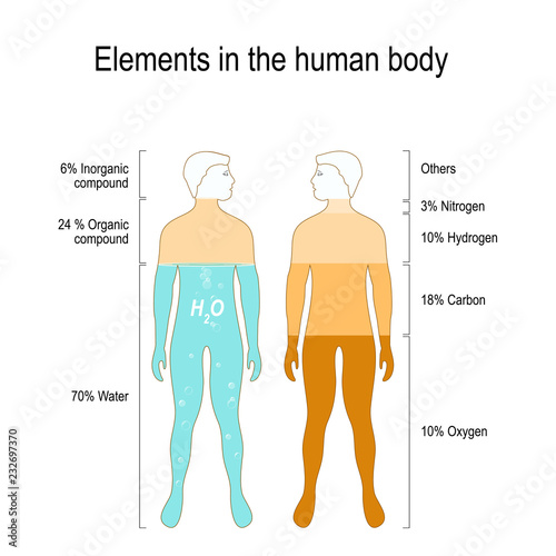 Elements of the Human Body