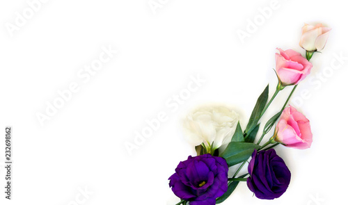 Bouquet of violet, white, pink and red flowers Eustoma (common names: Texas bluebells, bluebell, lisianthus, prairie gentian) on a white background with space for text. Top view, flat lay © Anastasiia Malinich