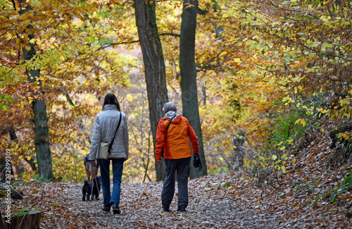 zwei frauen gehen mit ihren hunden im herbstlichen Binger Wald