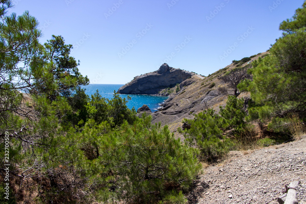 Fototapeta premium Golitsyn in the Crimea 1