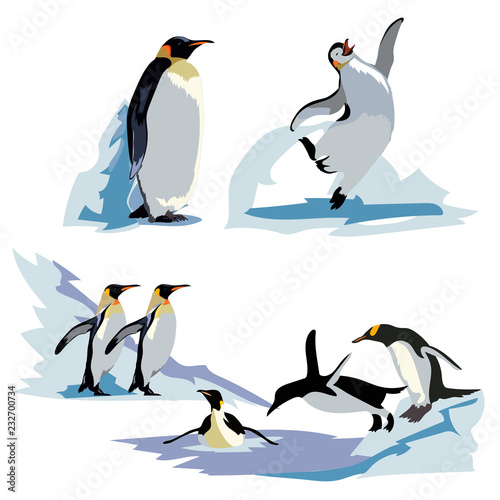 A set of realistic imperial penguins in different poses. Adult birds and chicks.