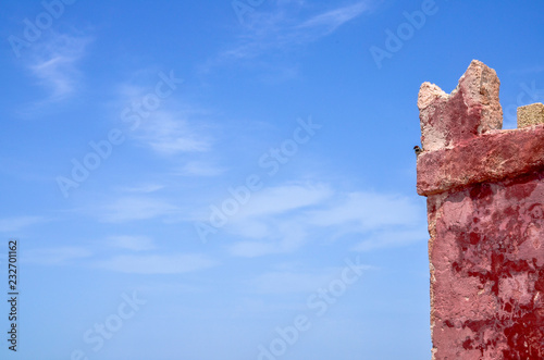 A bird perched on a castle wall, part of St Agatha's Red Castle in Malta photo