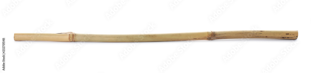 Obraz premium Dry bamboo stick on white background