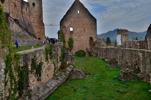 Hochburg bei Emmendingen photo