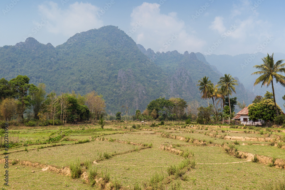 Beautiful view of rice paddies and karst limestone mountains near Vang Vieng, Vientiane Province, Laos, on a sunny day.