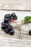 Branch of chokeberry (Aronia Melanocarpa) on a wooden table
